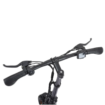 Freeboy H14 750W 18Ah elektrinis paspirtukas su sėdyne ir daiktadėže