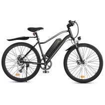 iScooter EB3 elektrinis dviratis 500W - 32 km/h, iki 100 km