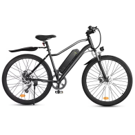 iScooter EB3 elektrinis dviratis 500W - 32 km/h, iki 100 km