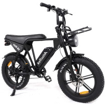 Aairsk V8 Max 750W 48V 15Ah...