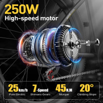 Aairsk GT300 elektrinis dviratis 400W 36V 24 - iki 64 km
