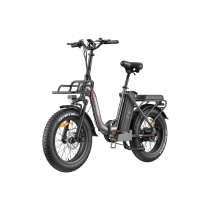 FAFREES F20 MAX 500W Elektrinis Dviratis 48V 30Ah – 150km