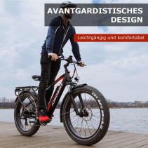 JABOBIKE Robin 500W Elektrinis Fatbike 48V 13Ah iki 45 km/h