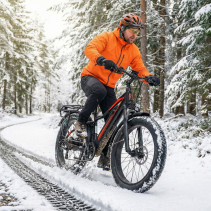 JABOBIKE Robin Pro 500W Elektrinis Fatbike 48V 20Ah | 45 km/h