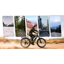 JABOBIKE Robin Pro 500W Elektrinis Fatbike 48V 20Ah | 45 km/h