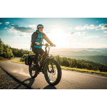 JABOBIKE Robin Pro 500W Elektrinis Fatbike 48V 20Ah | 45 km/h