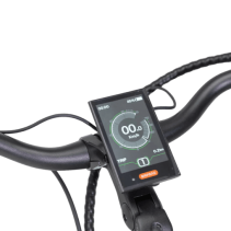 JABOBIKE Henry elektrinis miesto dviratis 250W 36V 14Ah | iki 140 km