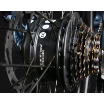 JOBOBIKE Ace Pro elektrinis dviratis – sulankstomas 250W e-bike su torque sensoriumi