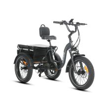 JOBOBIKE Triker elektrinis triratis – 500W 48V su dideliu krepšiu