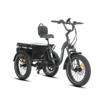 JOBOBIKE Triker elektrinis triratis – 500W 48V su dideliu krepšiu