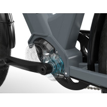 JOBOBIKE Lyon Pro elektrinis dviratis – mid motor 250W e-bike iki 150 km