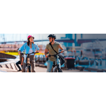 JOBOBIKE Dyno elektrinis dviratis – 250W 36V miesto e-bike iki 150 km