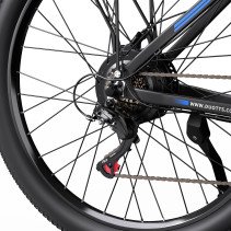 DUOTTS C29-K elektrinis dviratis 750W iki 170km su Shimano