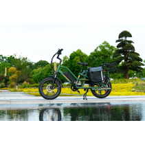 JABOBIKE Transer 500W elektrinis krovininis dviratis 15Ah