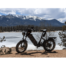 Eahora Juliet 1000W elektrinis dviratis 60Ah iki 193km