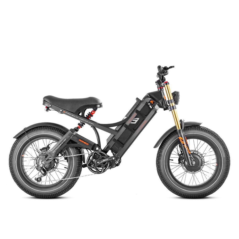 Eahora Romeo II elektrinis dviratis 2500W 70Ah iki 193km