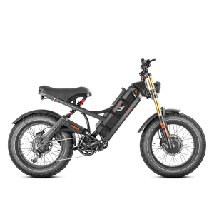 Eahora Romeo II elektrinis dviratis 2500W 70Ah iki 193km