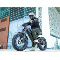 Eahora Romeo II elektrinis dviratis 2500W 70Ah iki 193km