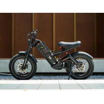 Eahora Romeo II elektrinis dviratis 2500W 70Ah iki 193km