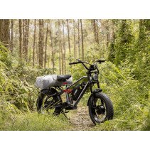 Eahora Terra elektrinis dviratis 1000W 15Ah iki 93 km