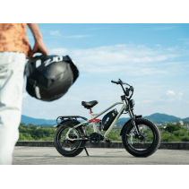 Eahora Terra II elektrinis dviratis 1500W 20Ah dual motor