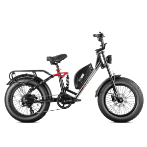 Eahora Luna elektrinis dviratis 1000W 15Ah iki 93 km
