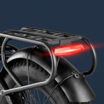 Eahora Luna II elektrinis dviratis Dual Motor 20Ah iki 100 km