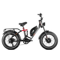 Eahora Luna II elektrinis dviratis Dual Motor 20Ah iki 100 km