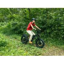 Eahora Luna II elektrinis dviratis Dual Motor 20Ah iki 100 km