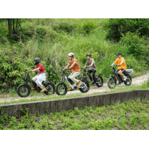 Eahora Luna II elektrinis dviratis Dual Motor 20Ah iki 100 km