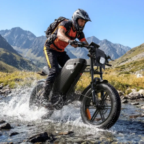 VARUN X-Plorer Beast elektrinis dviratis 750W fat tire iki 140 km off-road