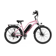 Elektrinis dviratis VARUN City Cruiser 500W iki 50 km miesto dviratis
