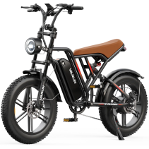 Elektrinis dviratis VARUN X-Plorer 500W iki 50 km