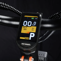Elektrinis paspirtukas Teverun Blade GT II+ 4900W 100 km