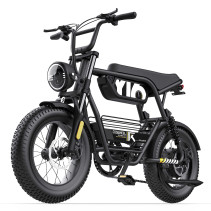 Elektrinis dviratis Coswheel Y16 750W 48V 15Ah – iki 80 km