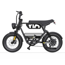 Elektrinis dviratis Coswheel Y16 750W 48V 15Ah – iki 80 km