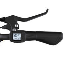 Elektrinis dviratis Coswheel Y16 750W 48V 15Ah – iki 80 km