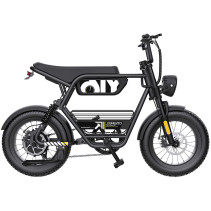 COSWHEEL Y16 750W 48V 15Ah...