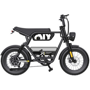 Elektrinis dviratis Coswheel Y16 750W 48V 15Ah – iki 80 km