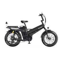 Tesway X7 Pro 48V 60Ah elektrinis krovininis dviratis 2000W iki 320 km