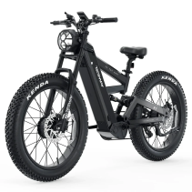 Tesway X9 AWD 4000W 48V 30Ah elektrinis dviratis AWD