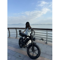 VOMO X80 750W elektrinis dviratis 48V iki 50 km/h su GPS
