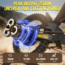 RICH BIT V9 Ultra 2500W 48V 20Ah elektrinis off-road dviratis