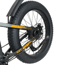 RICH BIT C01 Dual Motor 3000W 48V 20Ah elektrinis fat bike