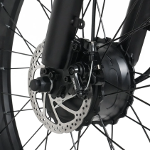RICH BIT C01 Dual Motor 3000W 48V 20Ah elektrinis fat bike