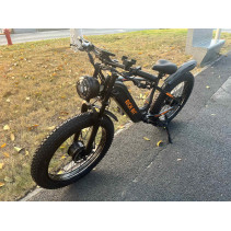 RICH BIT C01 Dual Motor 3000W 48V 20Ah elektrinis fat bike