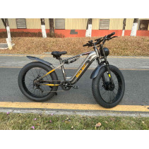 RICH BIT C01 Dual Motor 3000W 48V 20Ah elektrinis fat bike
