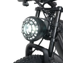 RICH BIT C01 Dual Motor 3000W 48V 20Ah elektrinis fat bike