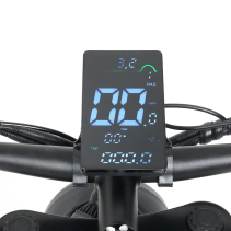 RICH BIT C01 Dual Motor 3000W 48V 20Ah elektrinis fat bike