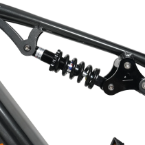 RICH BIT C01 Dual Motor 3000W 48V 20Ah elektrinis fat bike